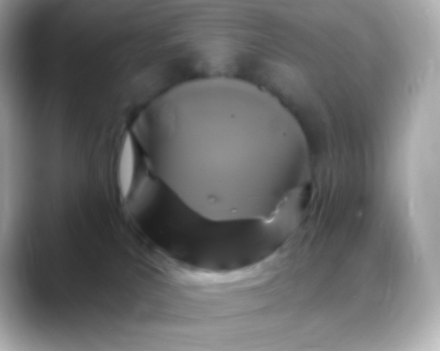 X0000088470039200706051350