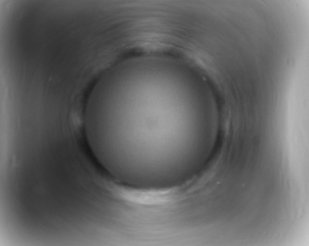 X0000088470040200706051350