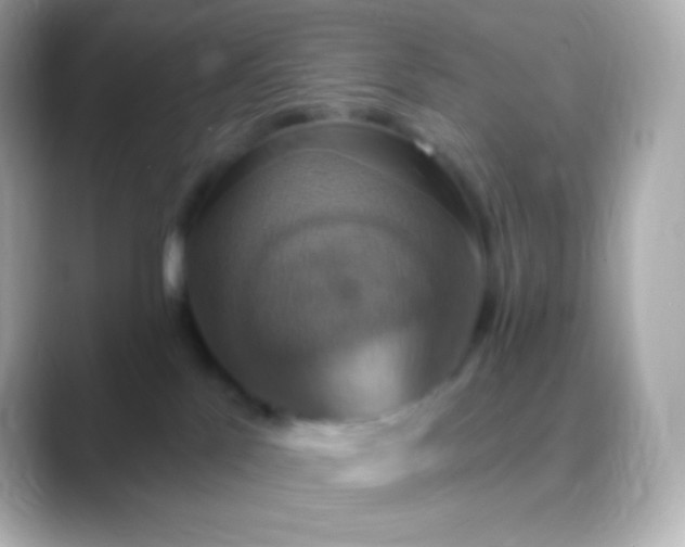 X0000088470041200706051350