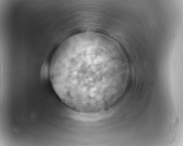 X0000088470042200706051350