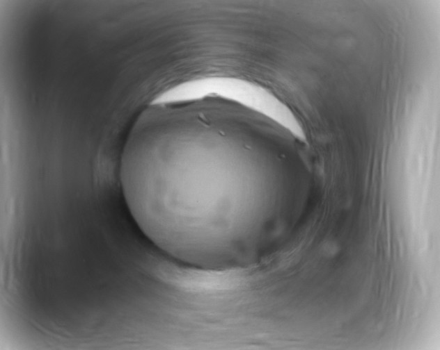 X0000088470044200706051350