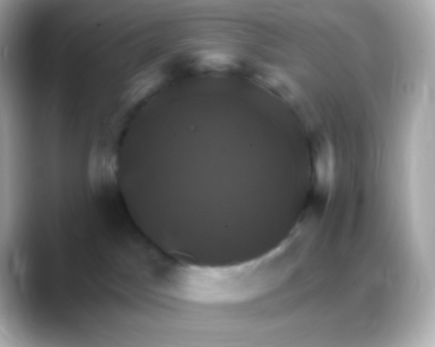 X0000088470045200706051350