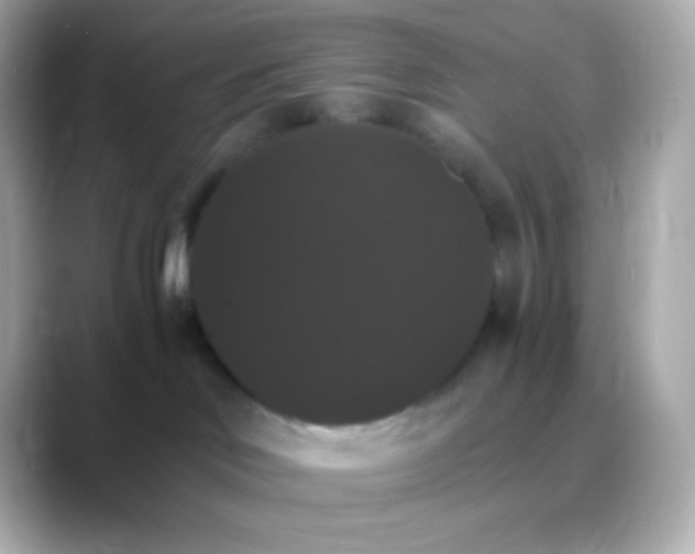 X0000088470046200706051350