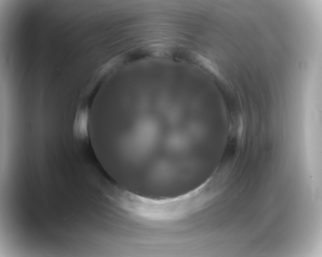 X0000088470047200706051350