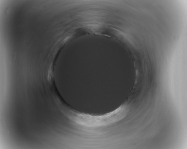 X0000088470048200706051350