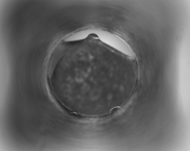 X0000088470049200706051350