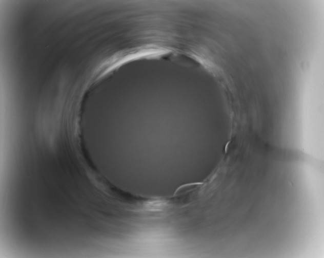 X0000088470050200706051350