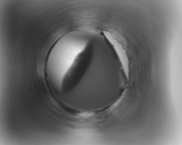 X0000088470051200706051350