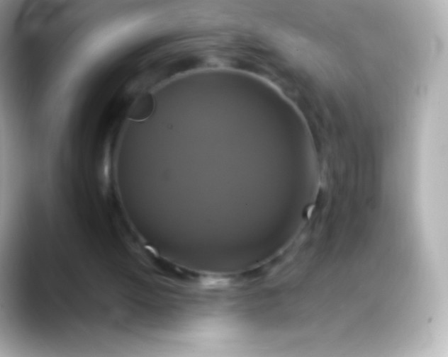 X0000088470052200706051350