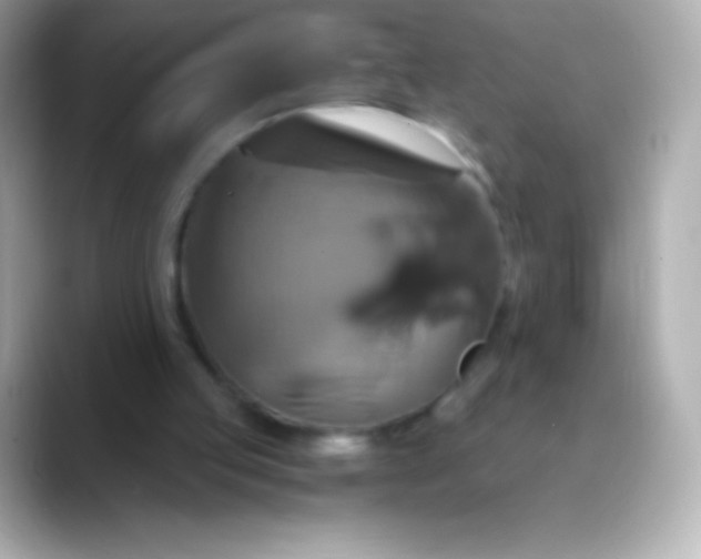 X0000088470053200706051350