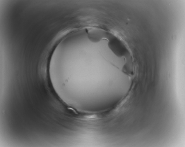 X0000088470054200706051350