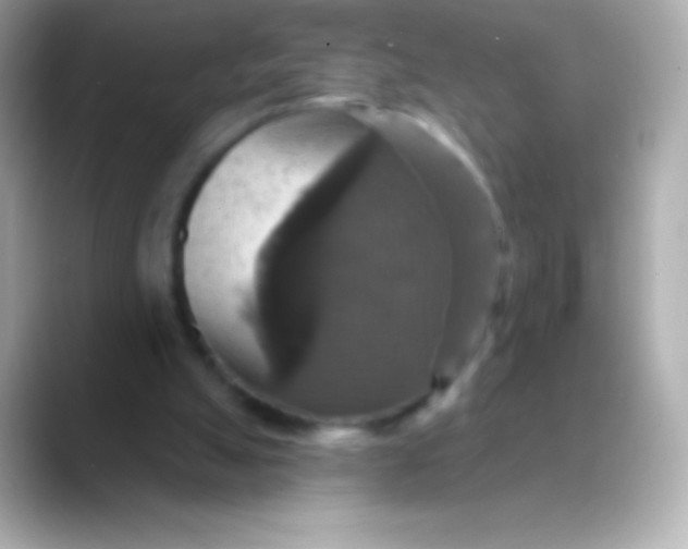 X0000088470055200706051350