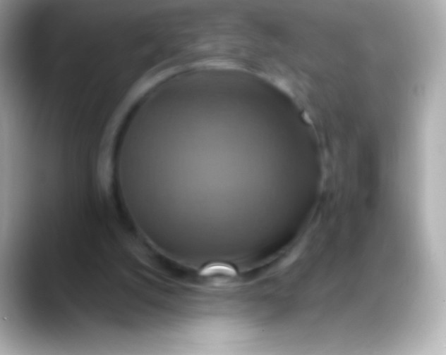 X0000088470056200706051350