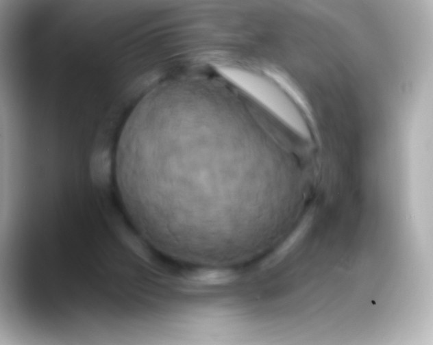 X0000088470057200706051350