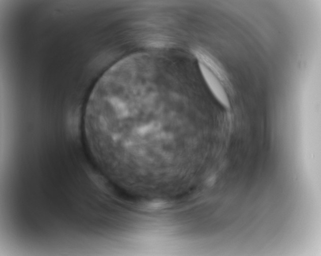 X0000088470058200706051350