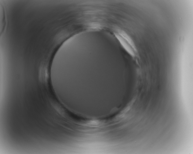 X0000088470059200706051350