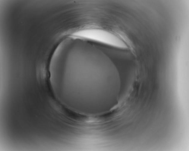 X0000088470060200706051350