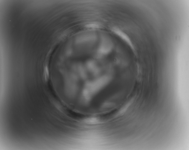 X0000088470061200706051350