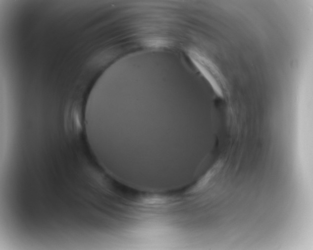 X0000088470062200706051350