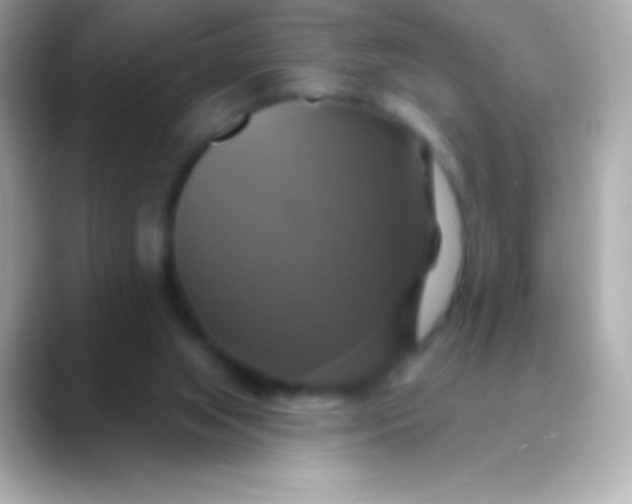 X0000088470063200706051350