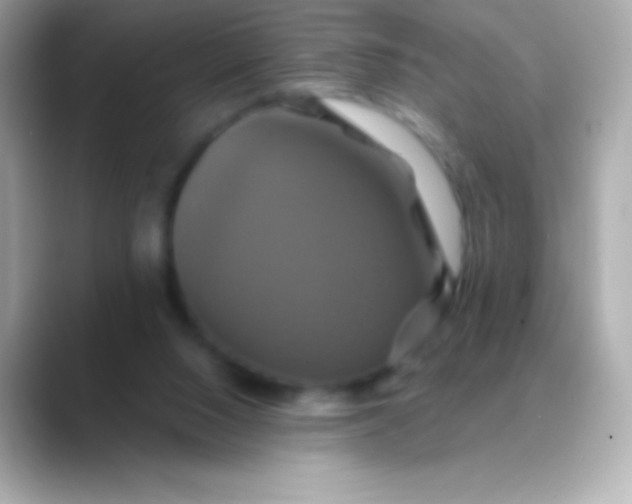 X0000088470064200706051350