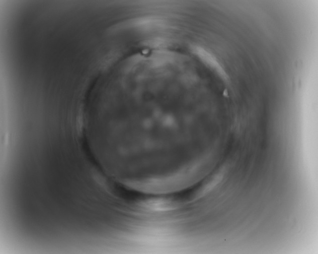 X0000088470065200706051350