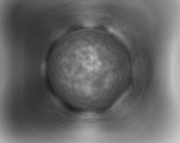 X0000088470066200706051350