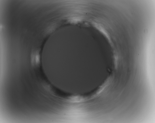 X0000088470067200706051350