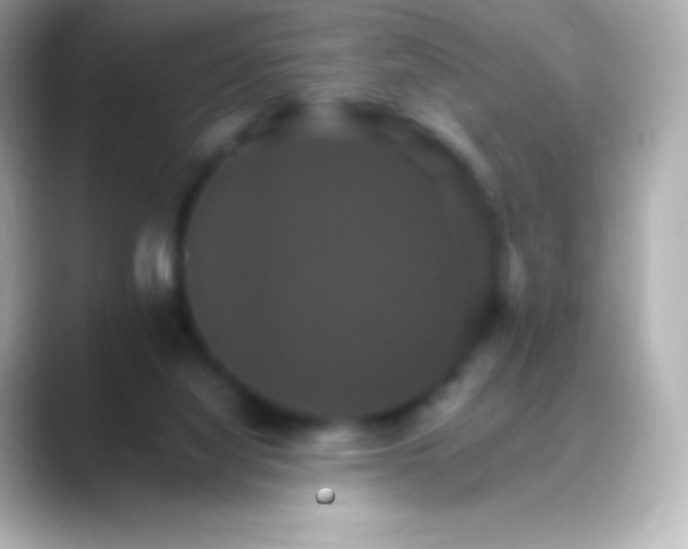 X0000088470068200706051350