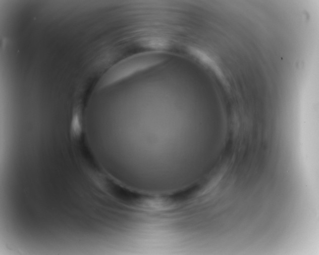 X0000088470069200706051350