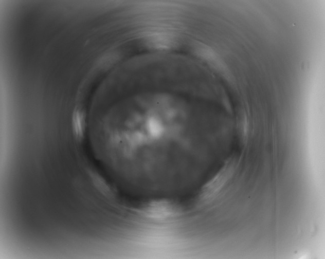 X0000088470070200706051350