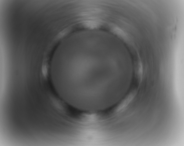 X0000088470071200706051350