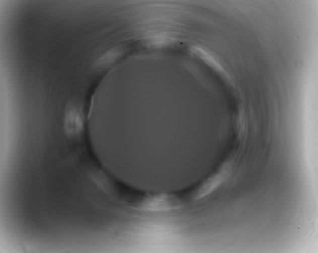 X0000088470072200706051350