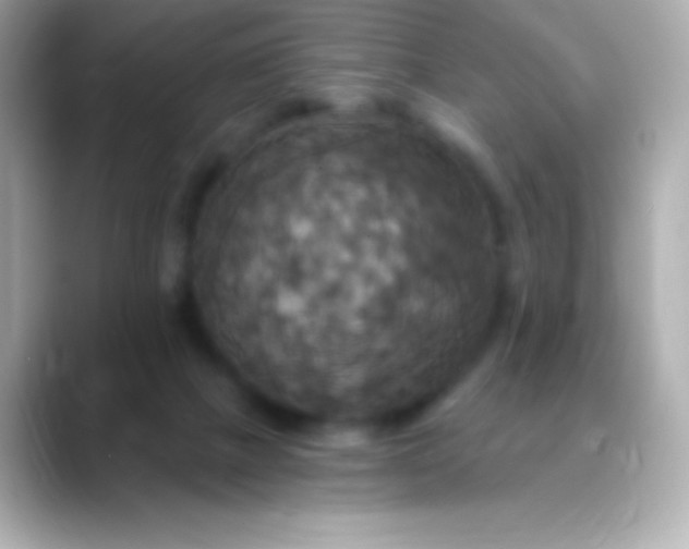 X0000088470073200706051350