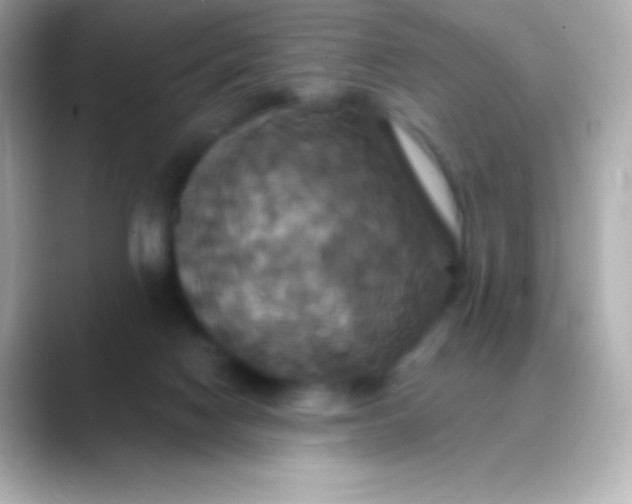 X0000088470074200706051350