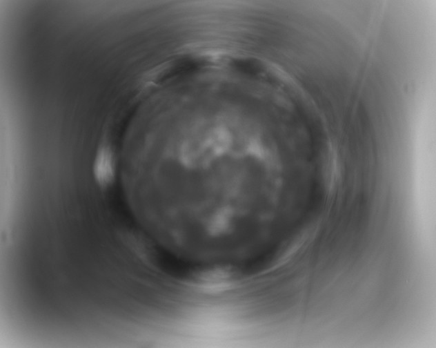 X0000088470075200706051350