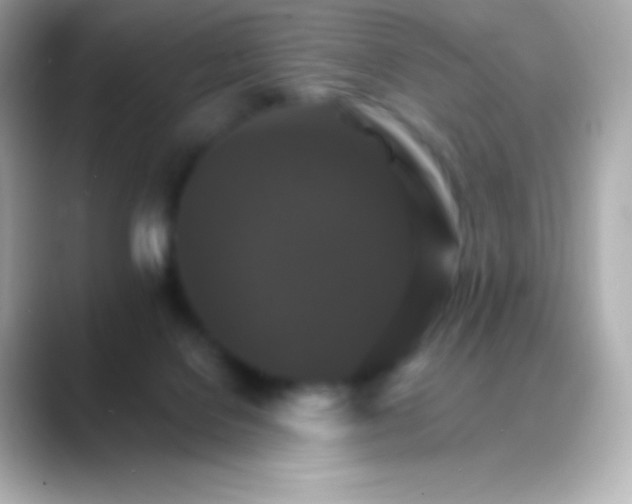 X0000088470076200706051350