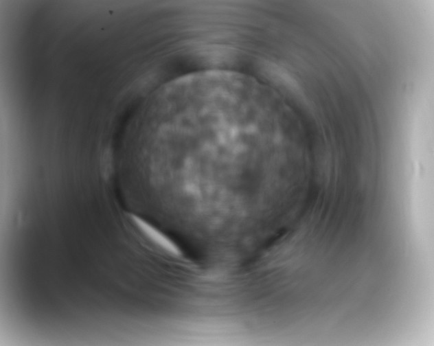 X0000088470077200706051350