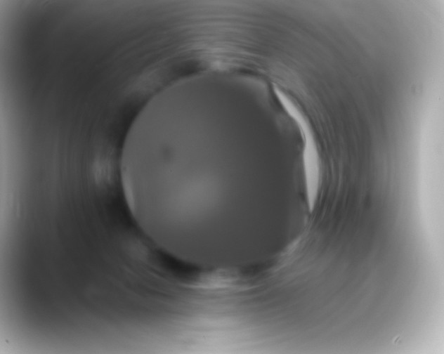 X0000088470078200706051350