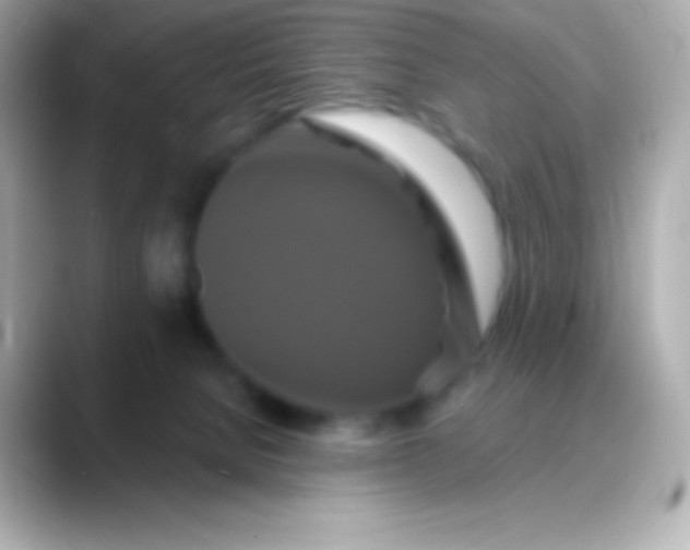 X0000088470080200706051350