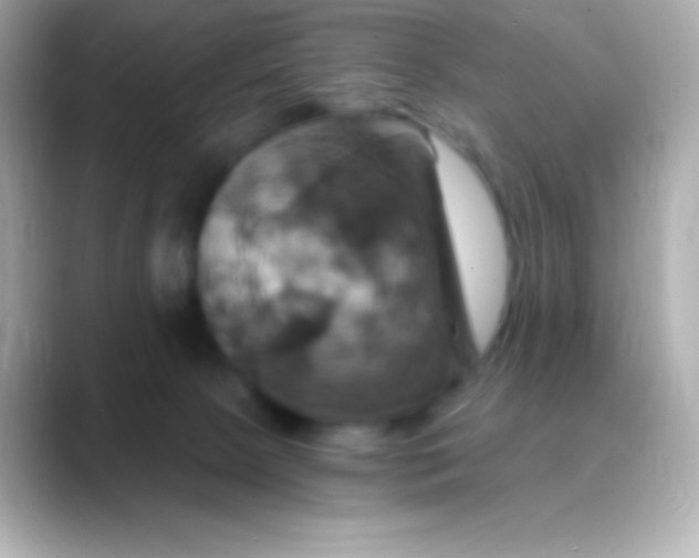 X0000088470081200706051350