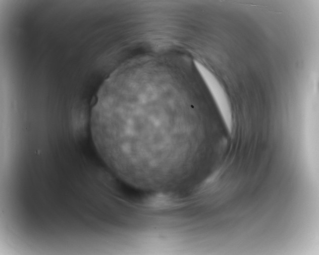 X0000088470082200706051350