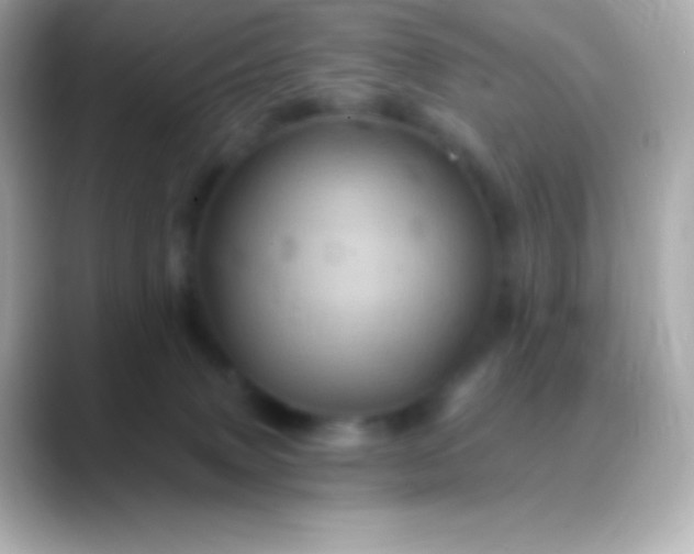 X0000088470083200706051350