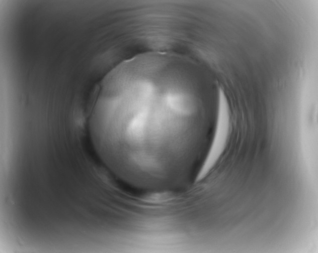 X0000088470084200706051350