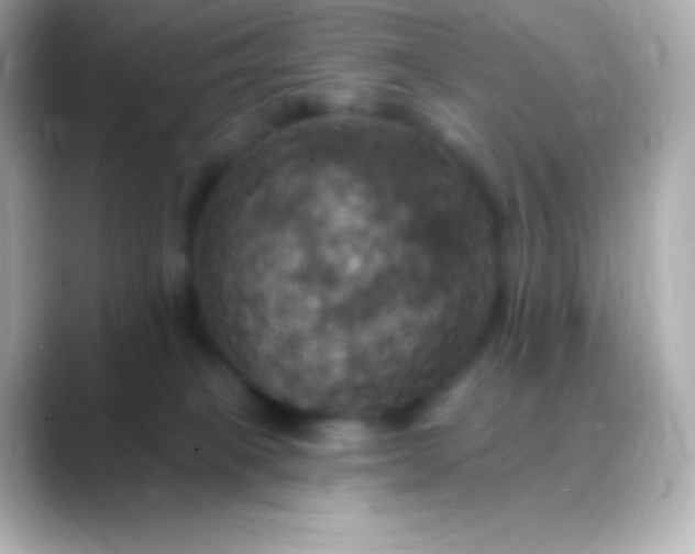 X0000088470085200706051350