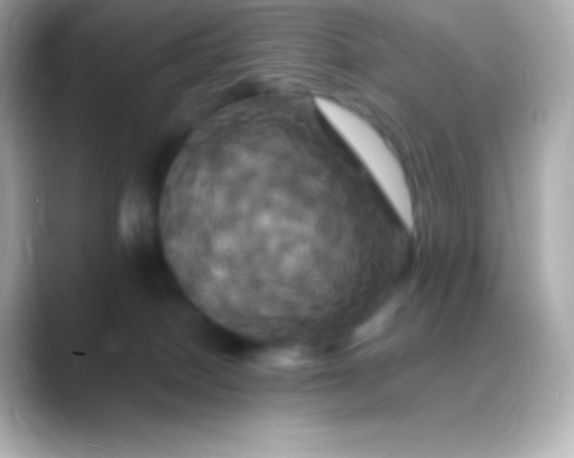 X0000088470086200706051350