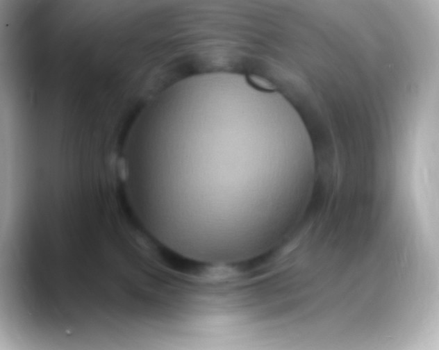 X0000088470087200706051350