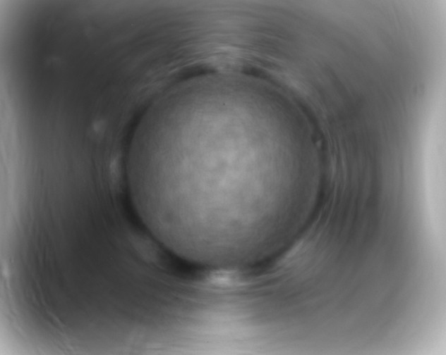 X0000088470088200706051350