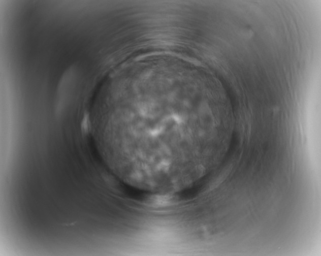 X0000088470089200706051350