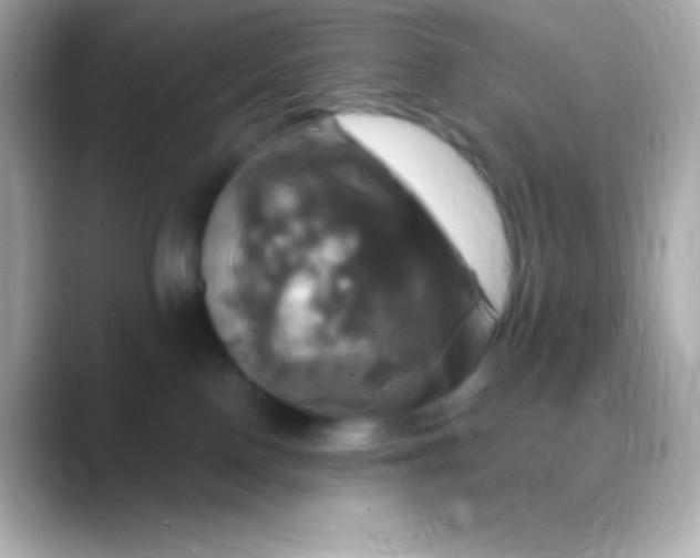 X0000088470090200706051350